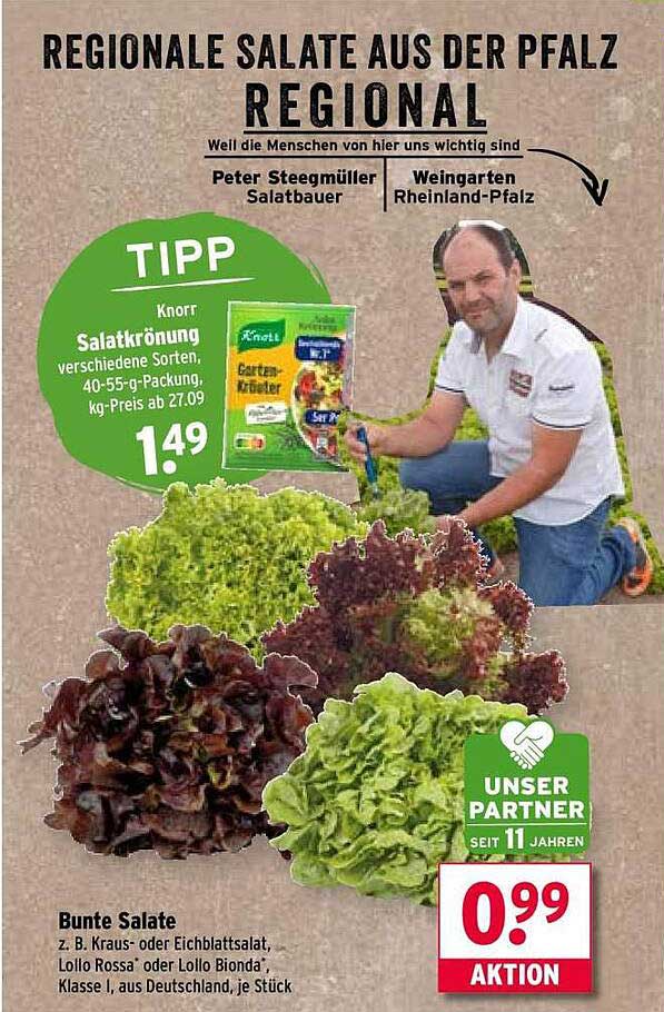 Regionale Salate aus der Pfalz