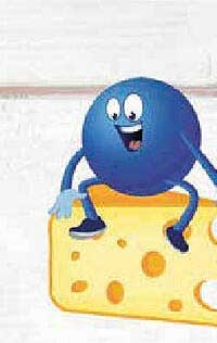 Sonderangebot: Leckerer Käse für Genussexperten