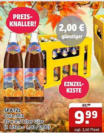 SPATZL Cola-Mix 20 x 0,5 Liter Glas