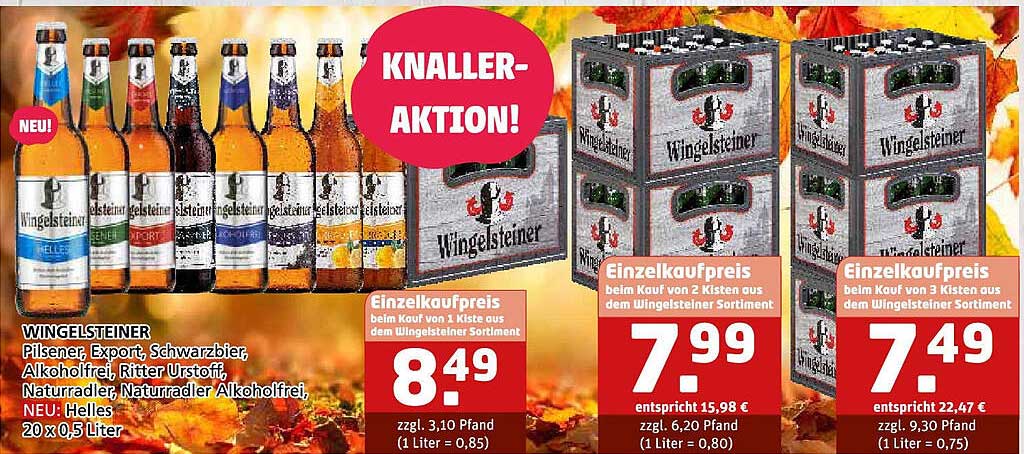 WINGELSTEINER - Pilsener, Export, Schwarzbier und mehr (20 x 0,5 Liter)