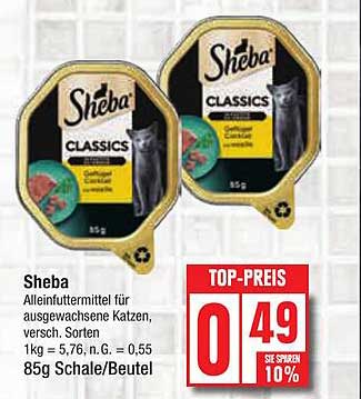 Schöne Sheba Im Angebot Fotos
