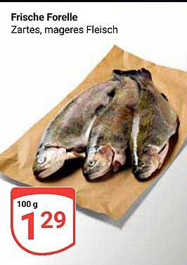 Frische Forelle - Zartes, mageres Fleisch