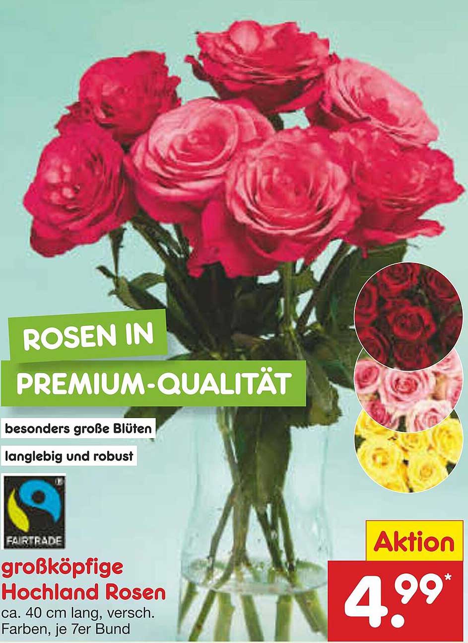 Hochland Rosen, 7er Bund - Aktion