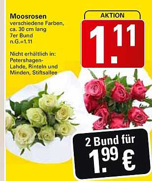 Moosrosen - 7er Bund für nur 1,11 €