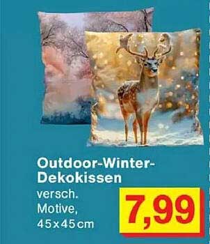Outdoor-Winter-Dekokissen
