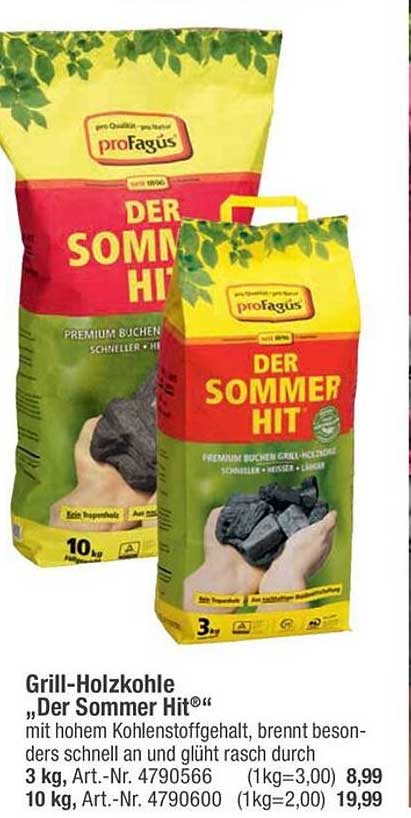 DER SOMMER HIT