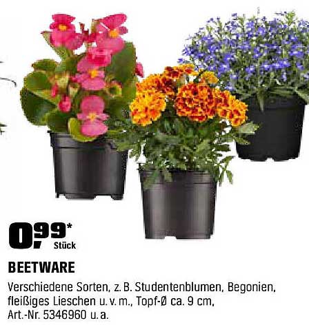 BEETWARE - Verschiedene Sorten für jeden Garten