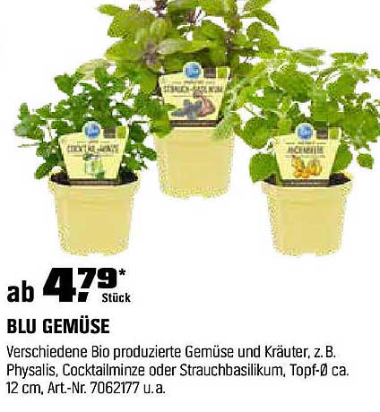 BLU GEMÜSE - Verschiedene Bio Gemüse und Kräuter