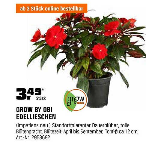 GROW BY OBI EDELLIESCHEN