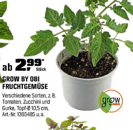 Grow by OBI Fruchtgemüse - Verschiedene Sorten