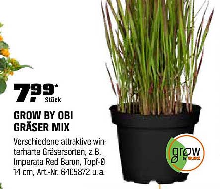 GROW BY OBI GRÄSER MIX