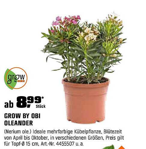 GROW BY OBI OLEANDER