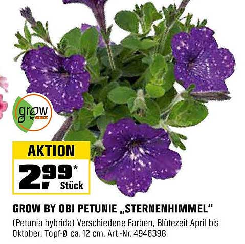 GROW BY OBI PETUNIE „STERNENHIMMEL“