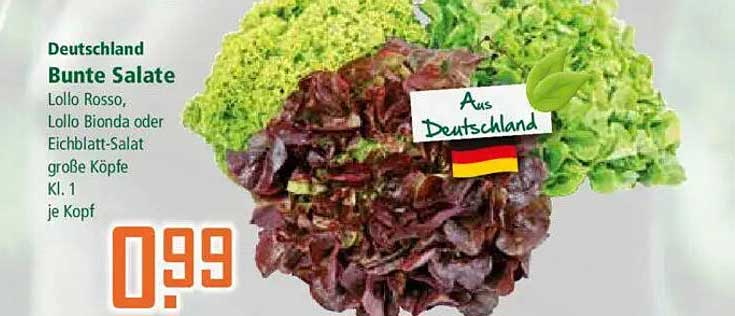 Bunte Salate - Lollo Rosso, Lollo Bionda oder Eichblatt-Salat Kl. 1 je Kopf