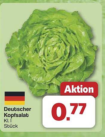 Deutscher Kopfsalat Kl. I Stück