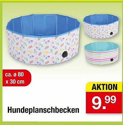 Hundplanschbecken