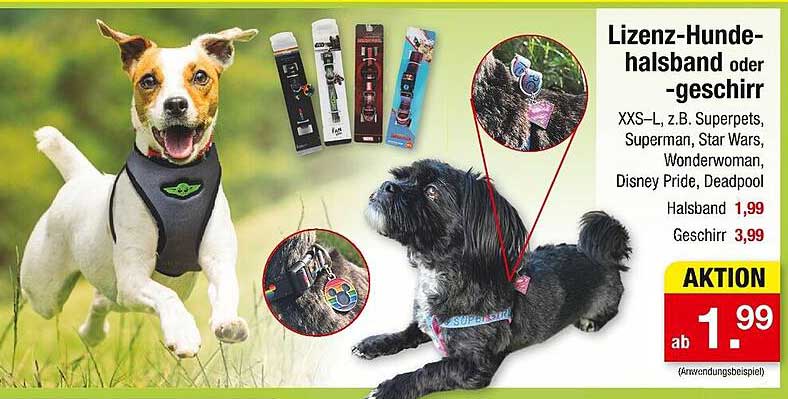 Lizenz-Hunde-Halsband oder -geschirr