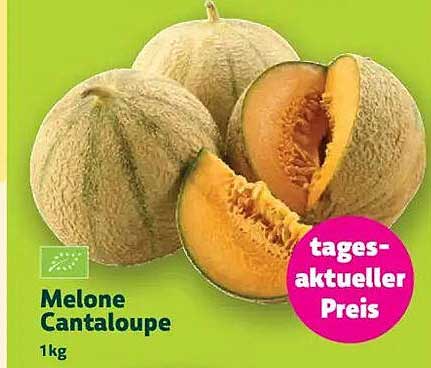 Melone Cantaloupe 1kg - tagesaktueller Preis