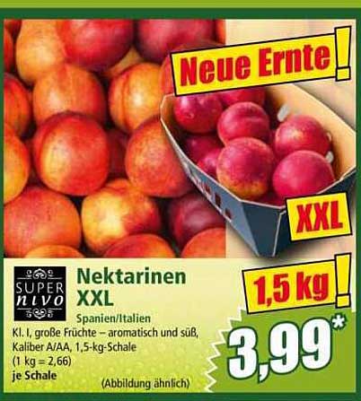 Nektarinen XXL 1,5 kg