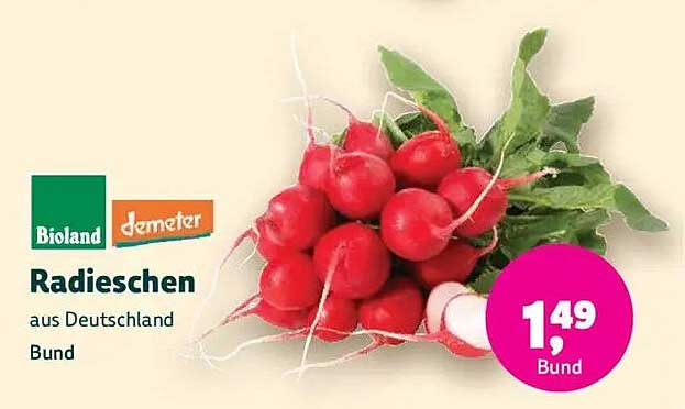 Radieschen aus Deutschland im Bund