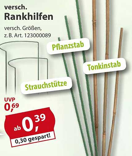 Verschiedene Rankhilfen für Ihren Garten