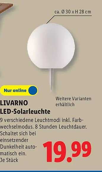 LIVARNO LED-Solarleuchte