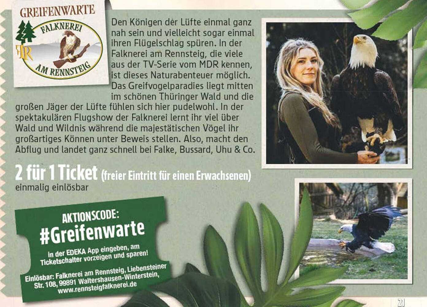 2 für 1 Ticket für die Greifenwarte (freier Eintritt für einen Erwachsenen)