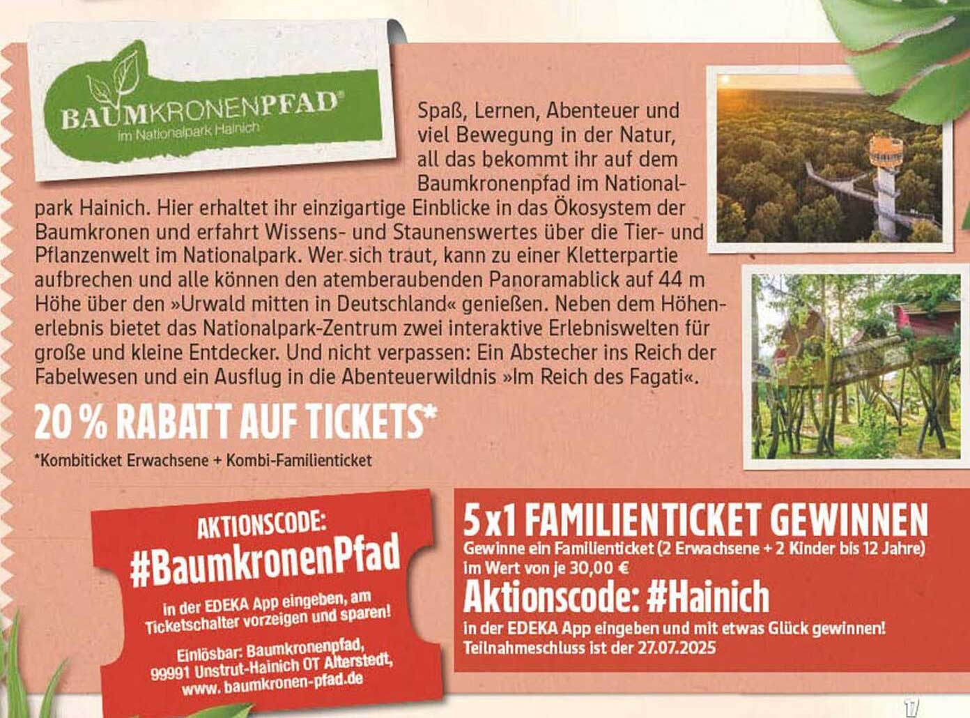 20 % Rabatt auf Tickets für den Baumkronenpfad im Nationalpark Hainich