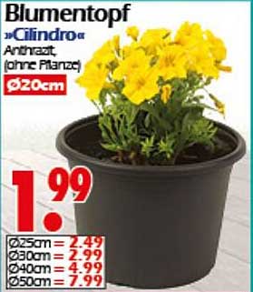 Blumentopf »Clindro« Anthrazit, ohne Pflanze Ø20cm