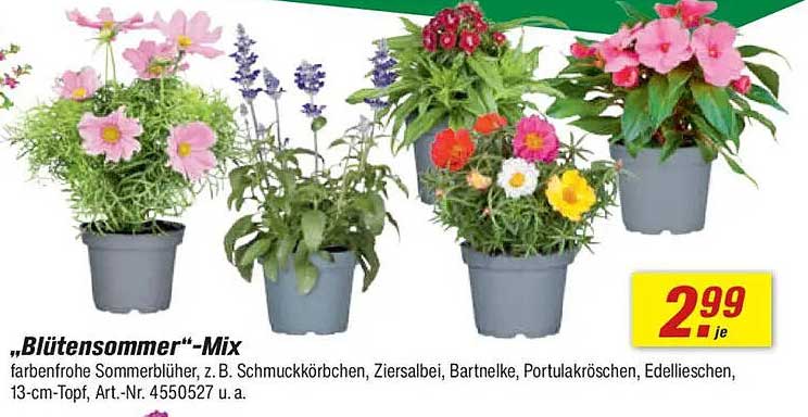 "Blütensommer"*-Mix