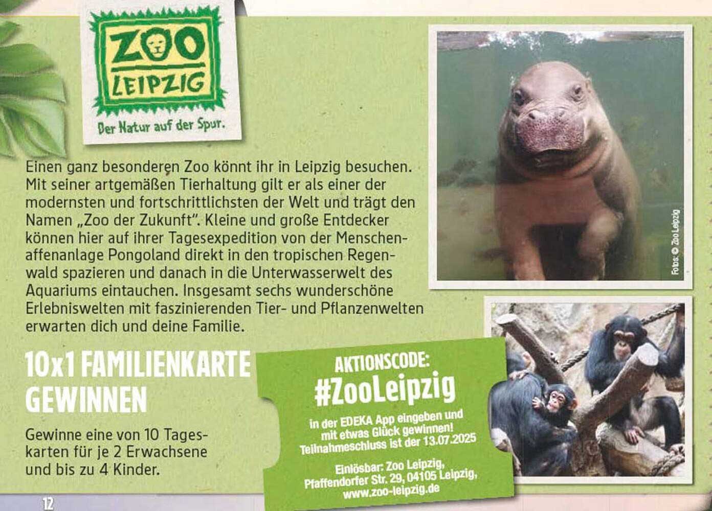 Gewinne eine von 10 Familientageskarten für den Zoo Leipzig!