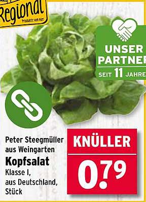 Kopfsalat von Peter Steegmüller - Klasse I, aus Deutschland, Stück