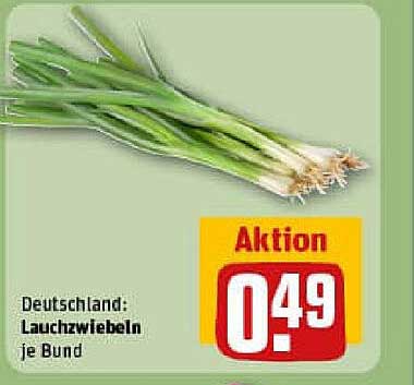 Lauchzwiebeln je Bund