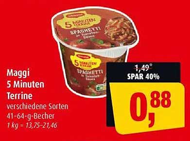 Maggi 5 Minuten Terrine - verschiedene Sorten