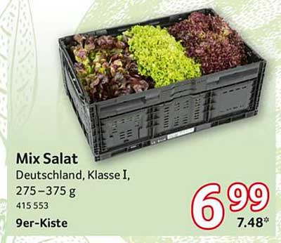 Mix Salat Deutschland, Klasse I, 275–375 g