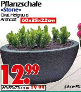 Pflanzschale »Stone« oval in Hellgrau oder Anthrazit