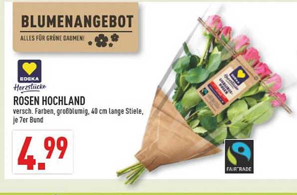Rosen Hochland - EDEKA Herzstücke, verschiedener Farben, 40 cm lange Stiele, je 7er Bund