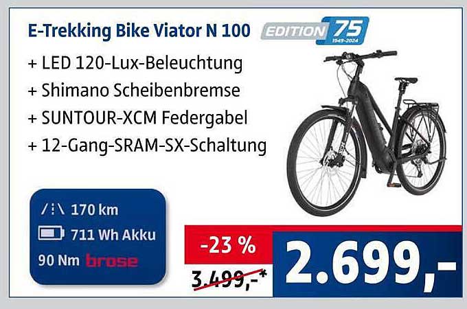 E-Trekking Bike Viator N 100