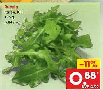 Rucola