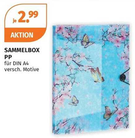 SAMMELBOX PP für DIN A4 versch. Motive