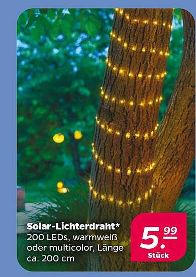 Solar-Lichterdraht* 200 LEDs, warmweiß oder multicolor, Länge ca. 200 cm