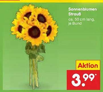 Sonnenblumen-Strauß ca. 50 cm lang, je Bund