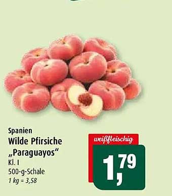 Spanien Wilde Pfirsiche „Paraguayos“