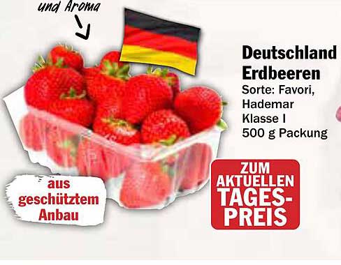 Deutschland Erdbeeren Sorte: Favori, Hademar Klasse I 500 g Packung