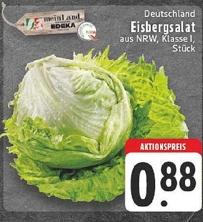 Eisbergsalat aus NRW, Klasse I, Stück