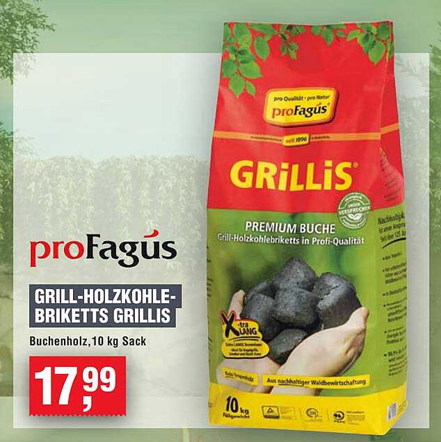 Grill-Holzkohle-Brikett Grillis, 10 kg Sack