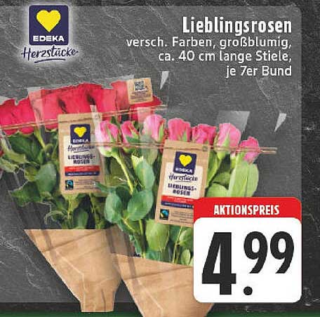 Lieblingsrosen – wunderschöne, großblumige Rosen im 7er Bund