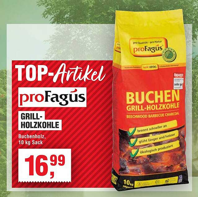 proFagus Grill-Holzkohle 10 kg Sack
