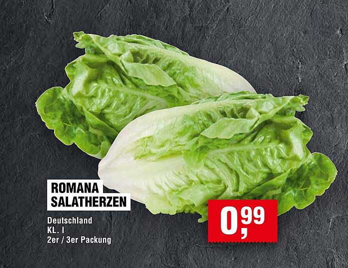 Romana Salatherzen
