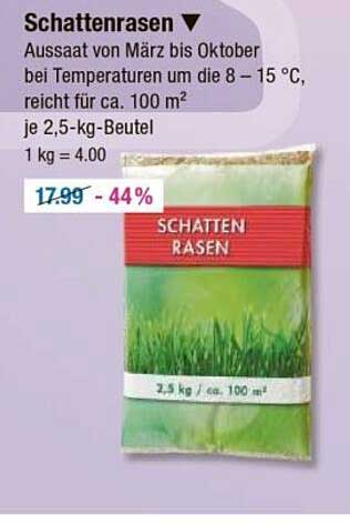 Schattenrasen 2,5 kg - Ideal für schattige Gartenbereiche